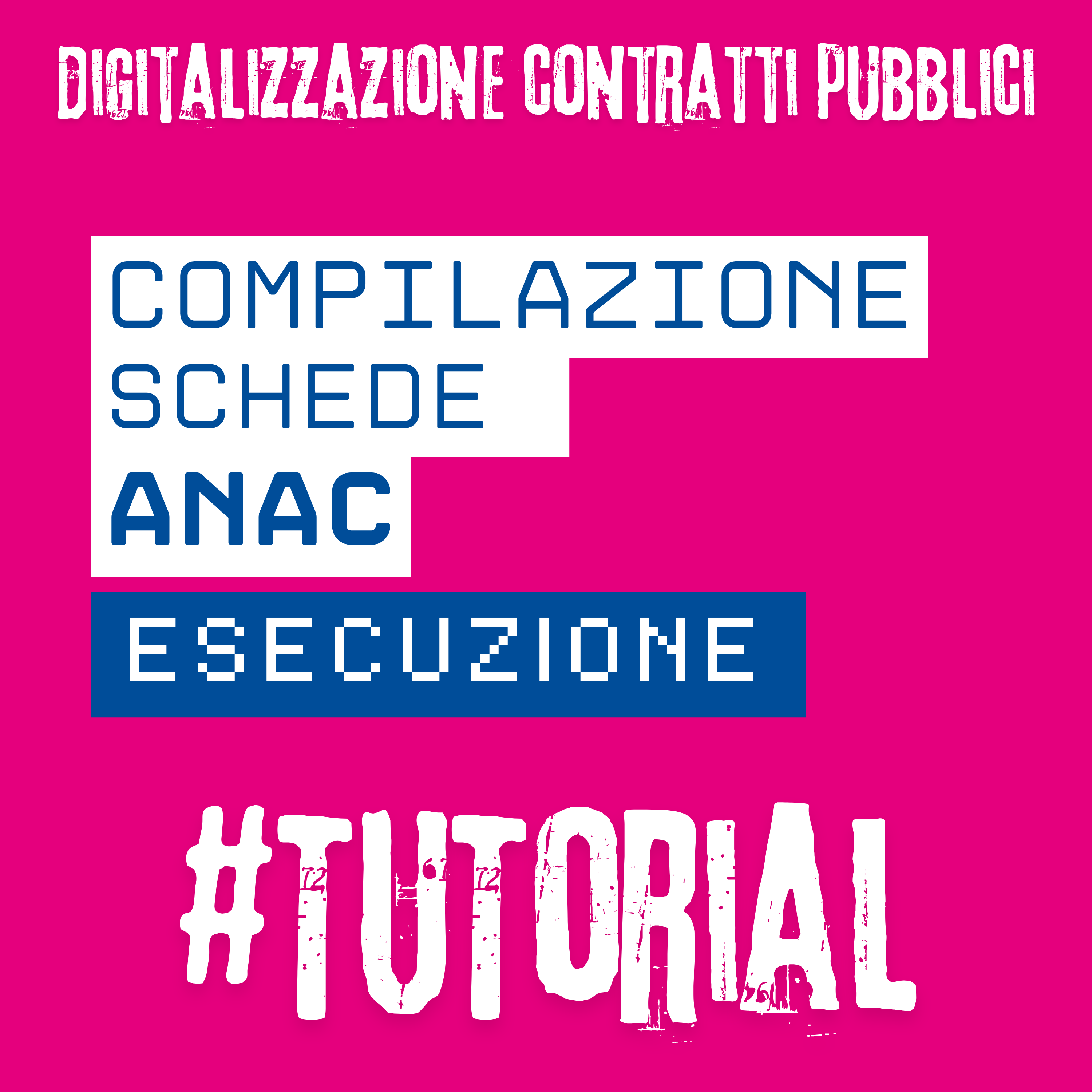 Compilazione schede ANAC esecuzione
