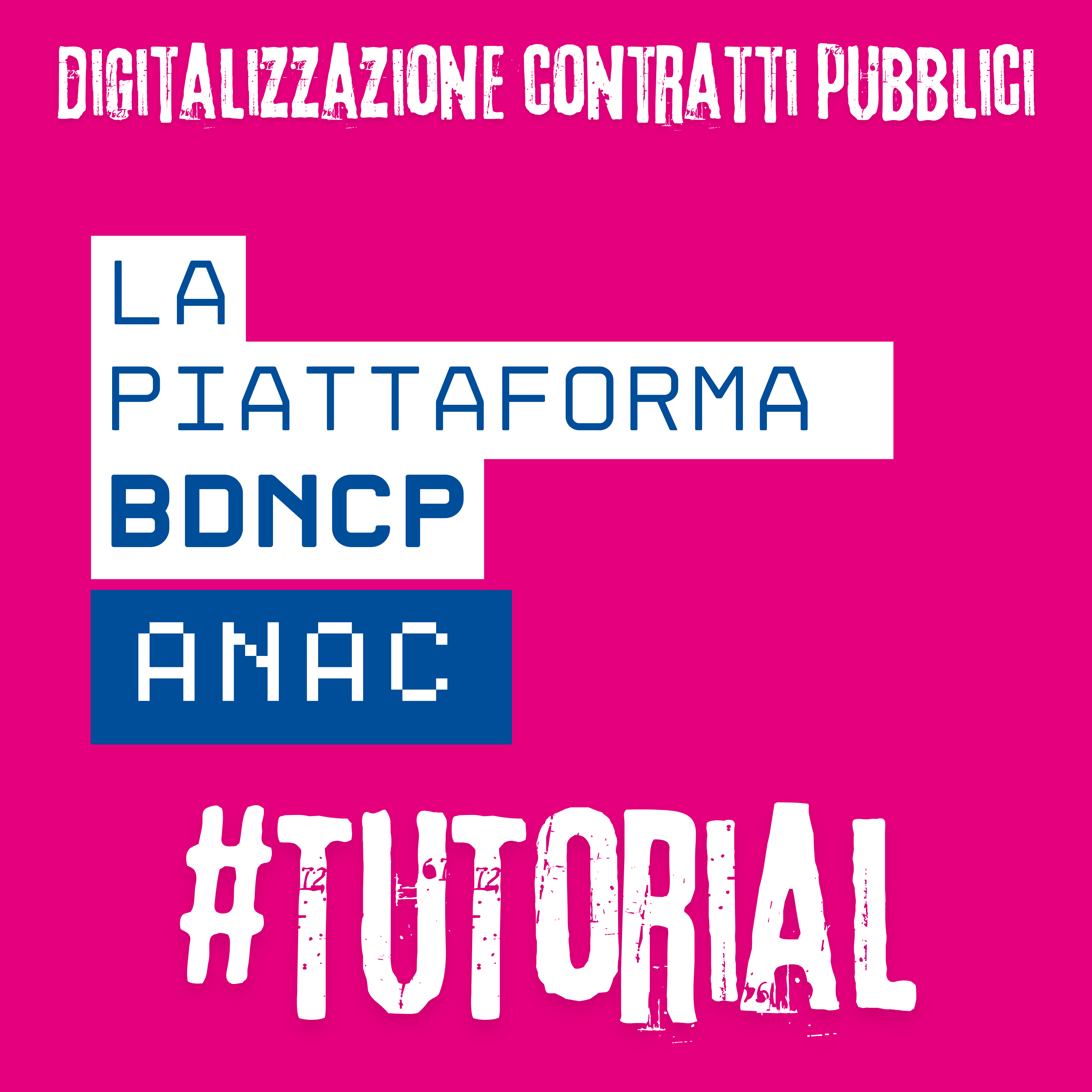 La Piattaforma BDNCP di ANAC