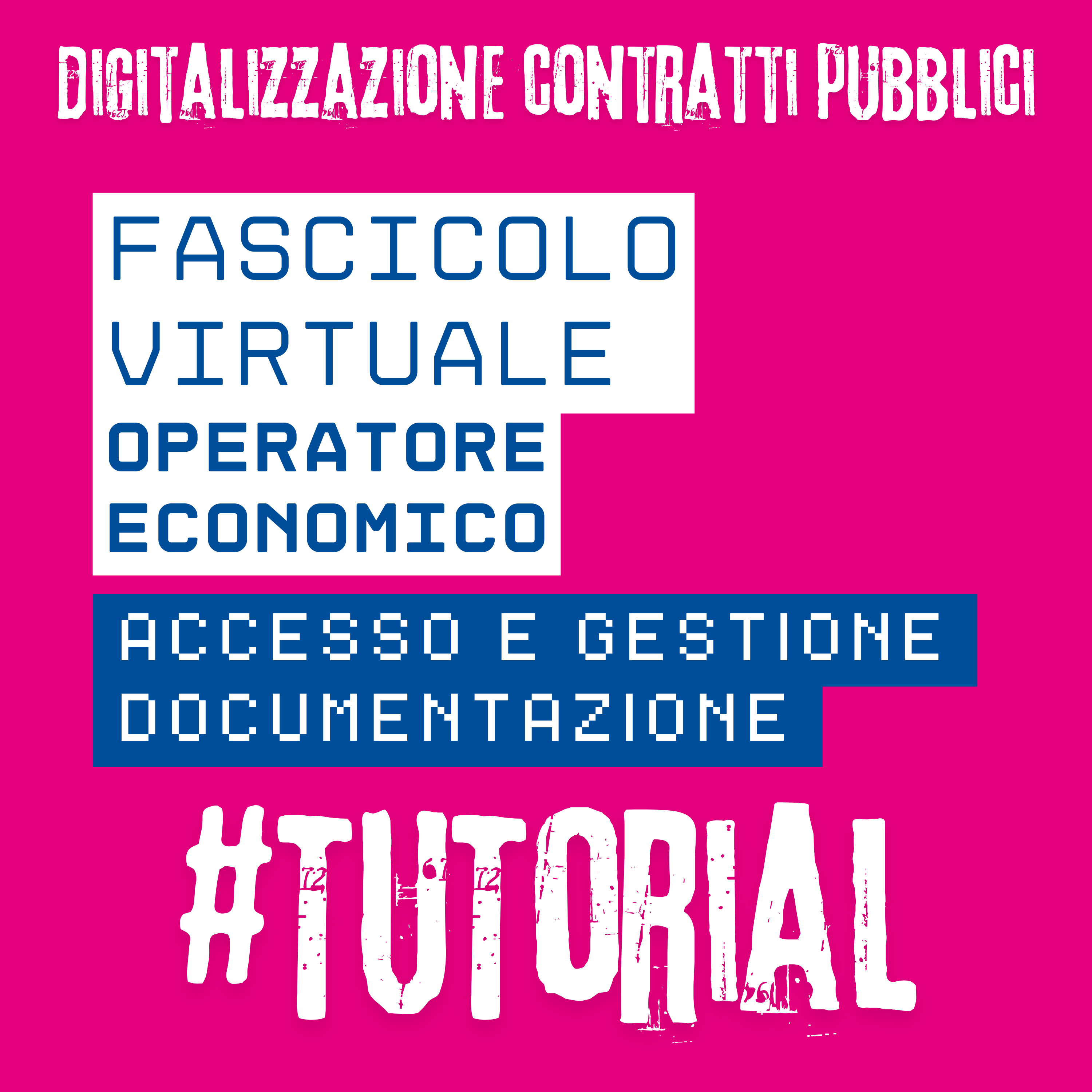 Fascicolo Virtuale dell'Operatore Economico: modalità di accesso e gestione della documentazione