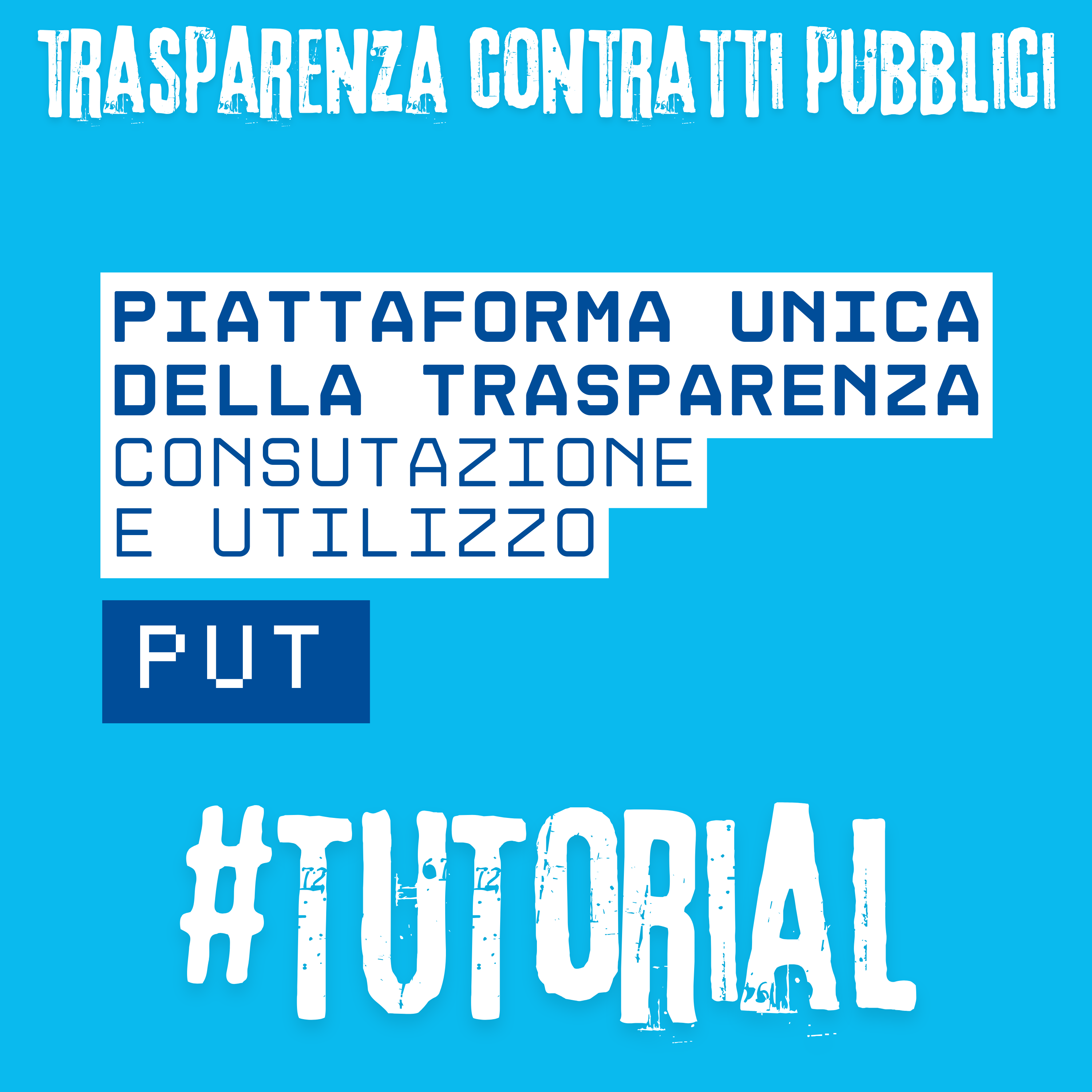 Consultare e utilizzare la Piattaforma Unica della Trasparenza (PUT)