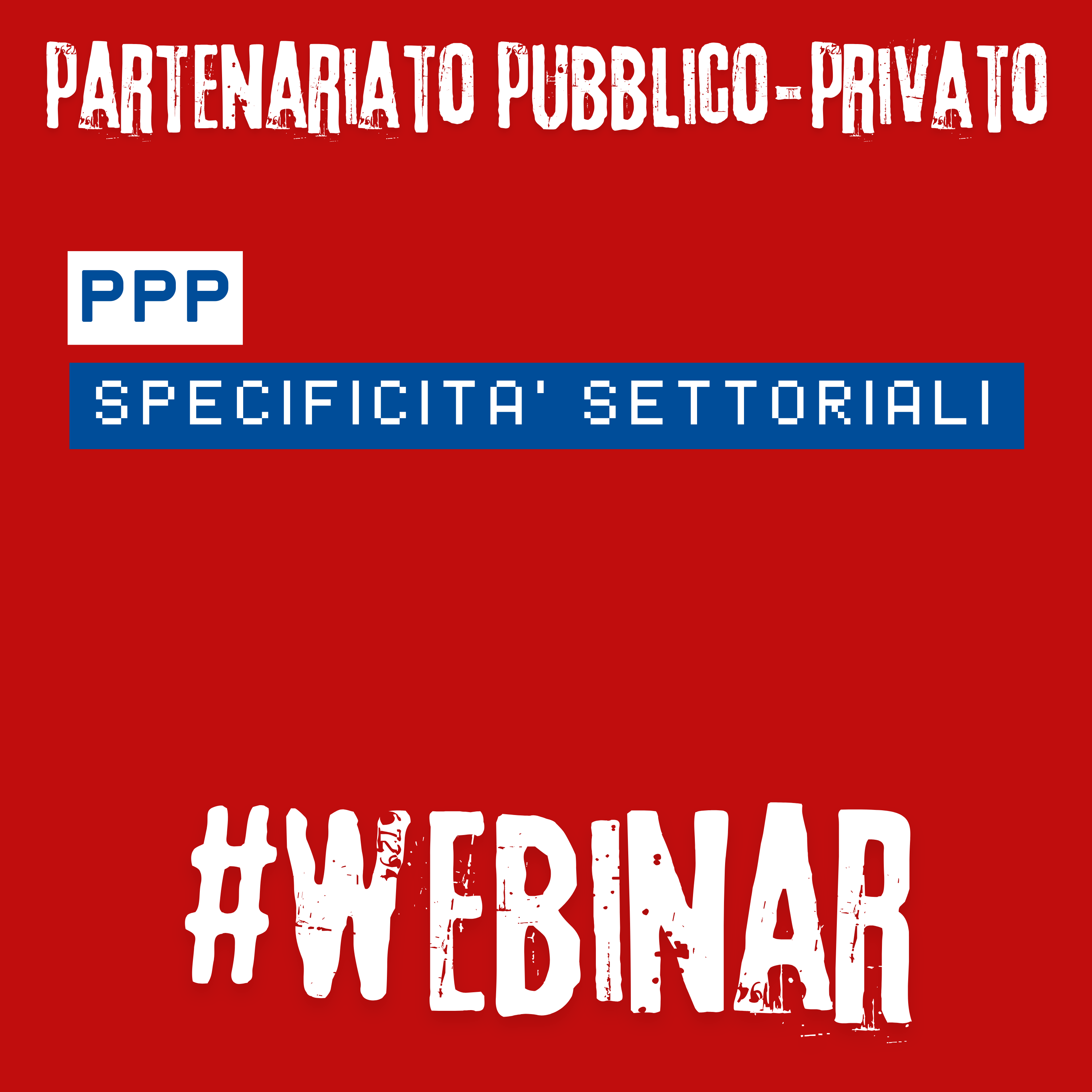 PPP e specificità settoriali
